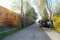 Materská škola dvor - dekoratívna grafika